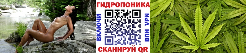 Купить  Яблоновский  Конопля MAZAR 
